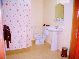 The pretty En-Suite Shower Room